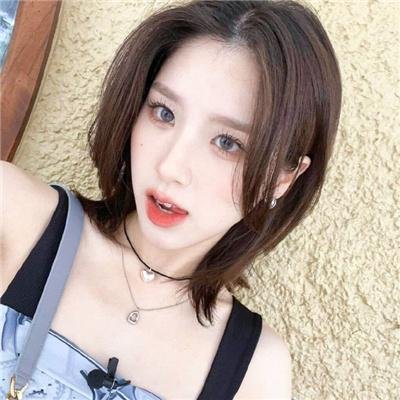 玫瑰的战争